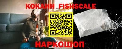 крисы Аргун