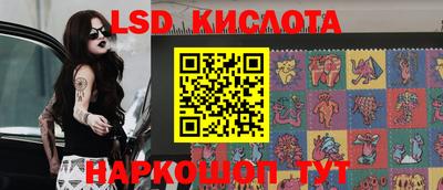 крисы Аргун