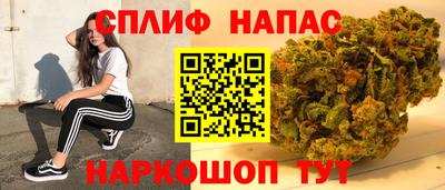 крисы Аргун