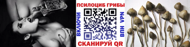 что такое   Белорецк  Галлюциногенные грибы Cubensis 