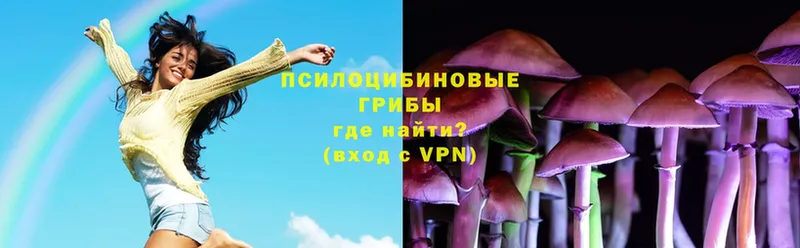 Галлюциногенные грибы Magic Shrooms  Белорецк 