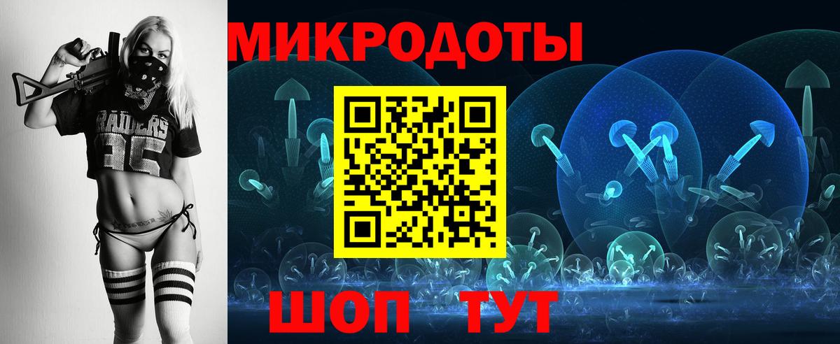 купить   Белорецк  Псилоцибиновые грибы мицелий 