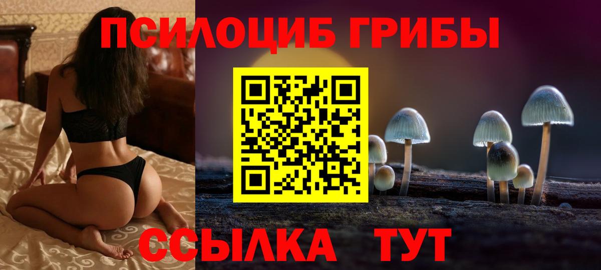 Белорецк  Галлюциногенные грибы мицелий  Вход с VPN 
