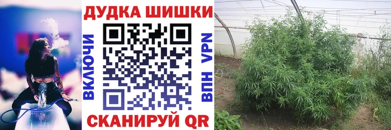 купить наркотик  гидра ССЫЛКА  Бошки марихуана White Widow  Белорецк 
